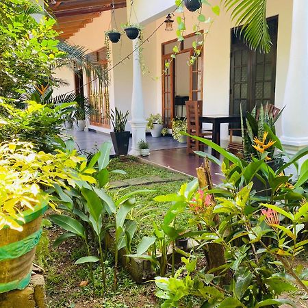 Fairview Dill Homestay สิกิริยา ภายนอก รูปภาพ