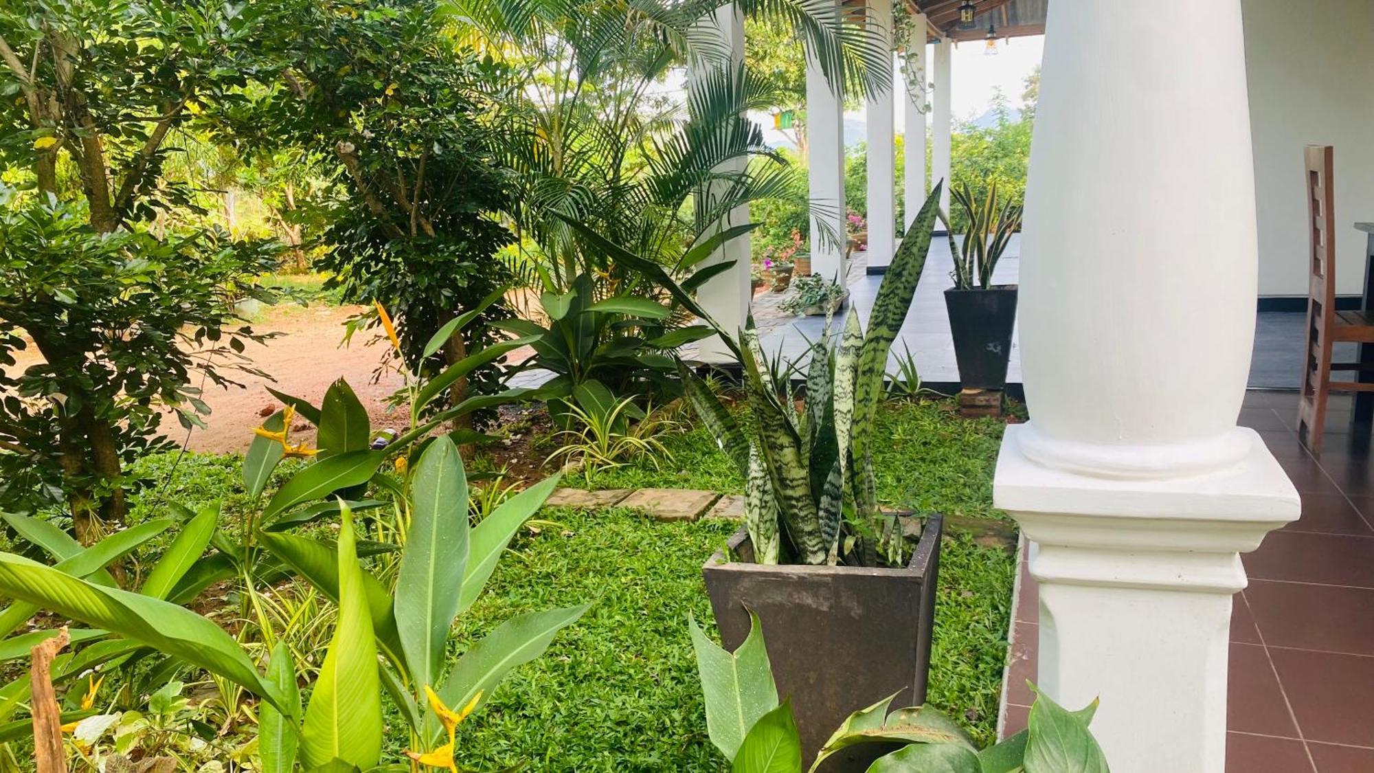 Fairview Dill Homestay สิกิริยา ภายนอก รูปภาพ
