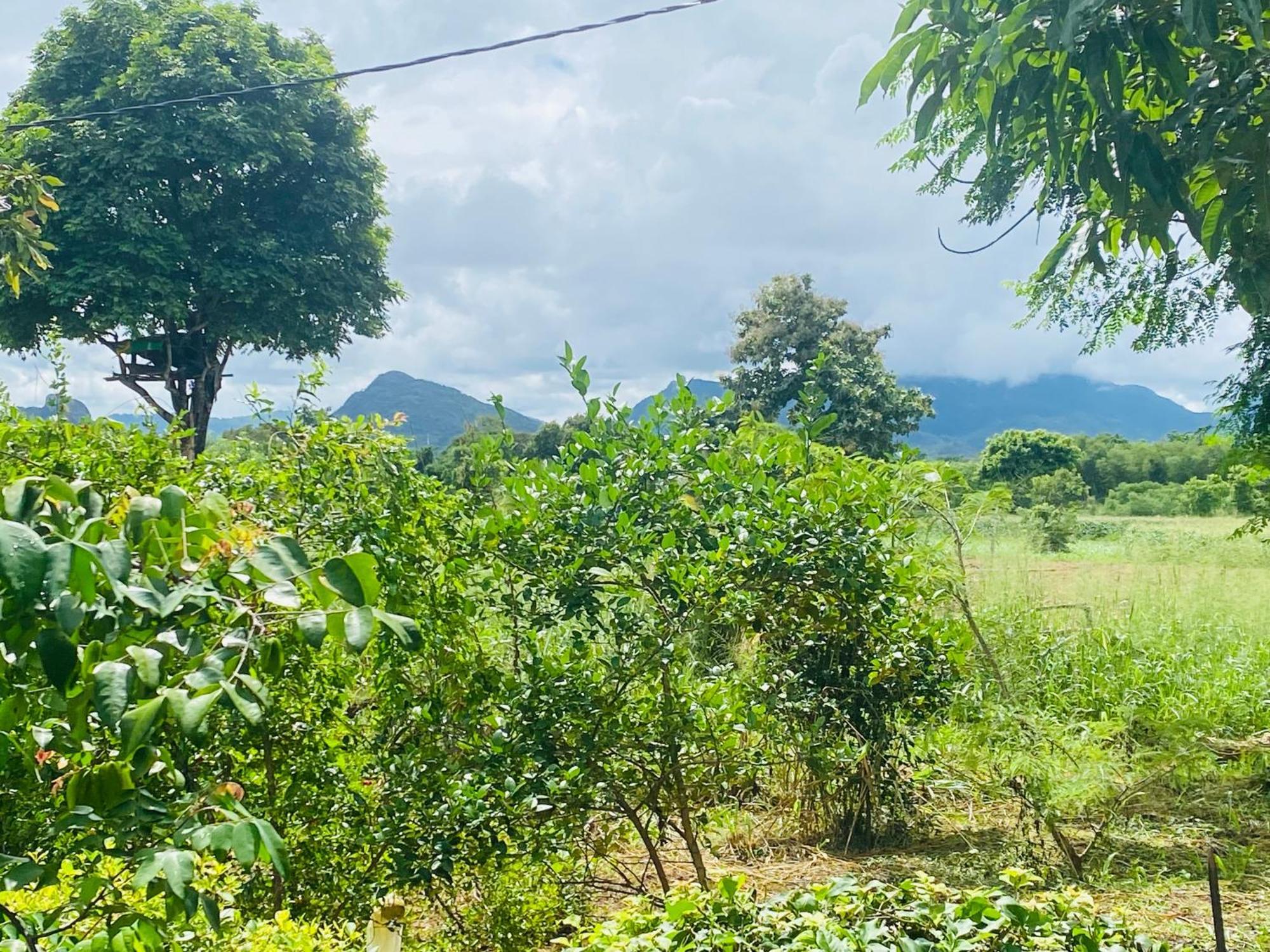 Fairview Dill Homestay สิกิริยา ภายนอก รูปภาพ