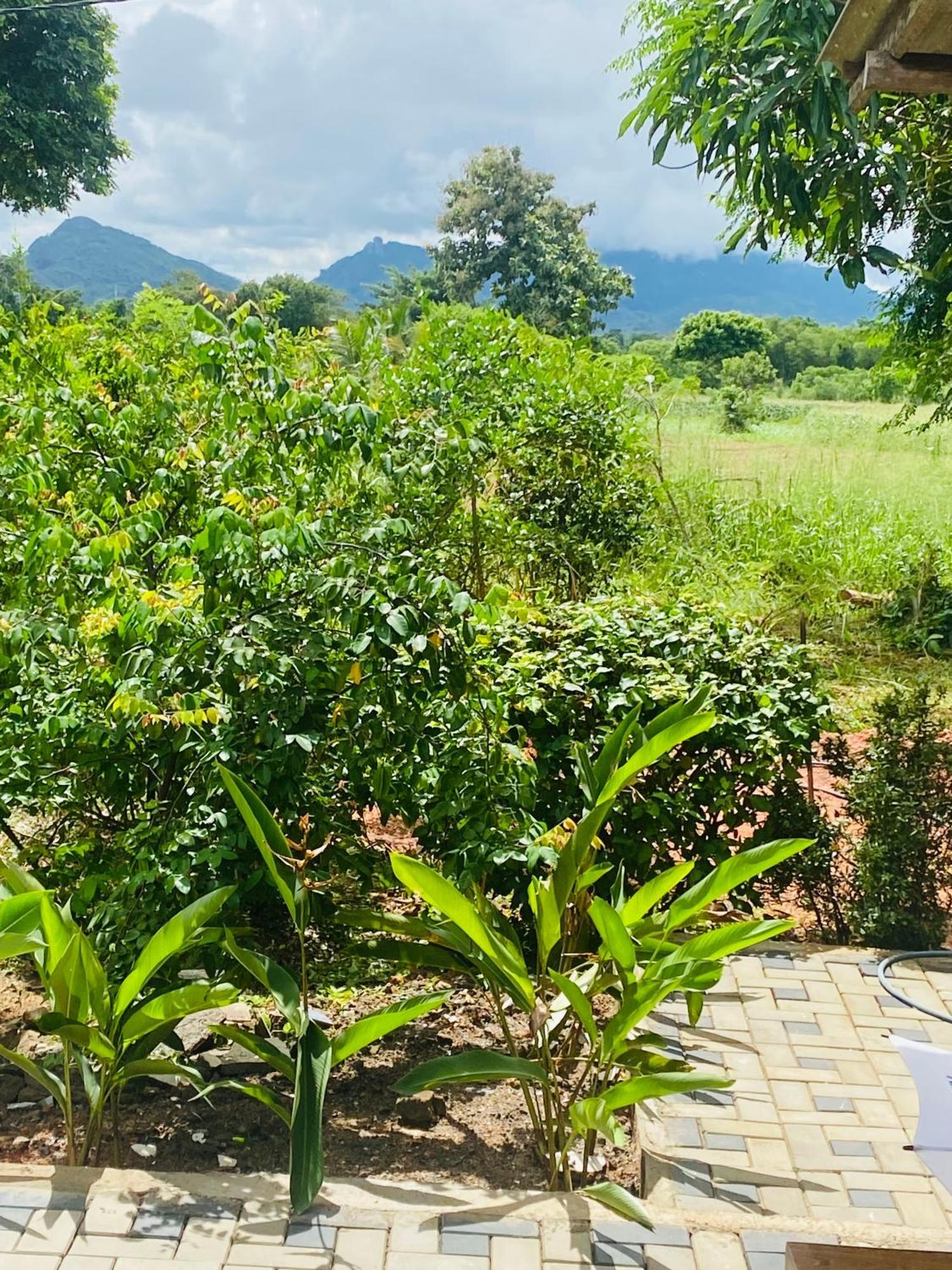 Fairview Dill Homestay สิกิริยา ภายนอก รูปภาพ