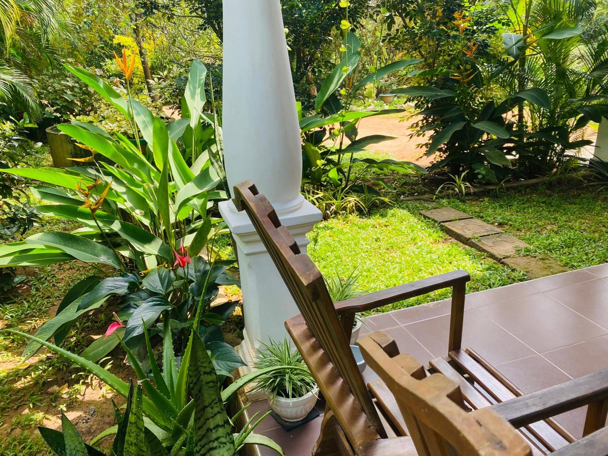 Fairview Dill Homestay สิกิริยา ภายนอก รูปภาพ
