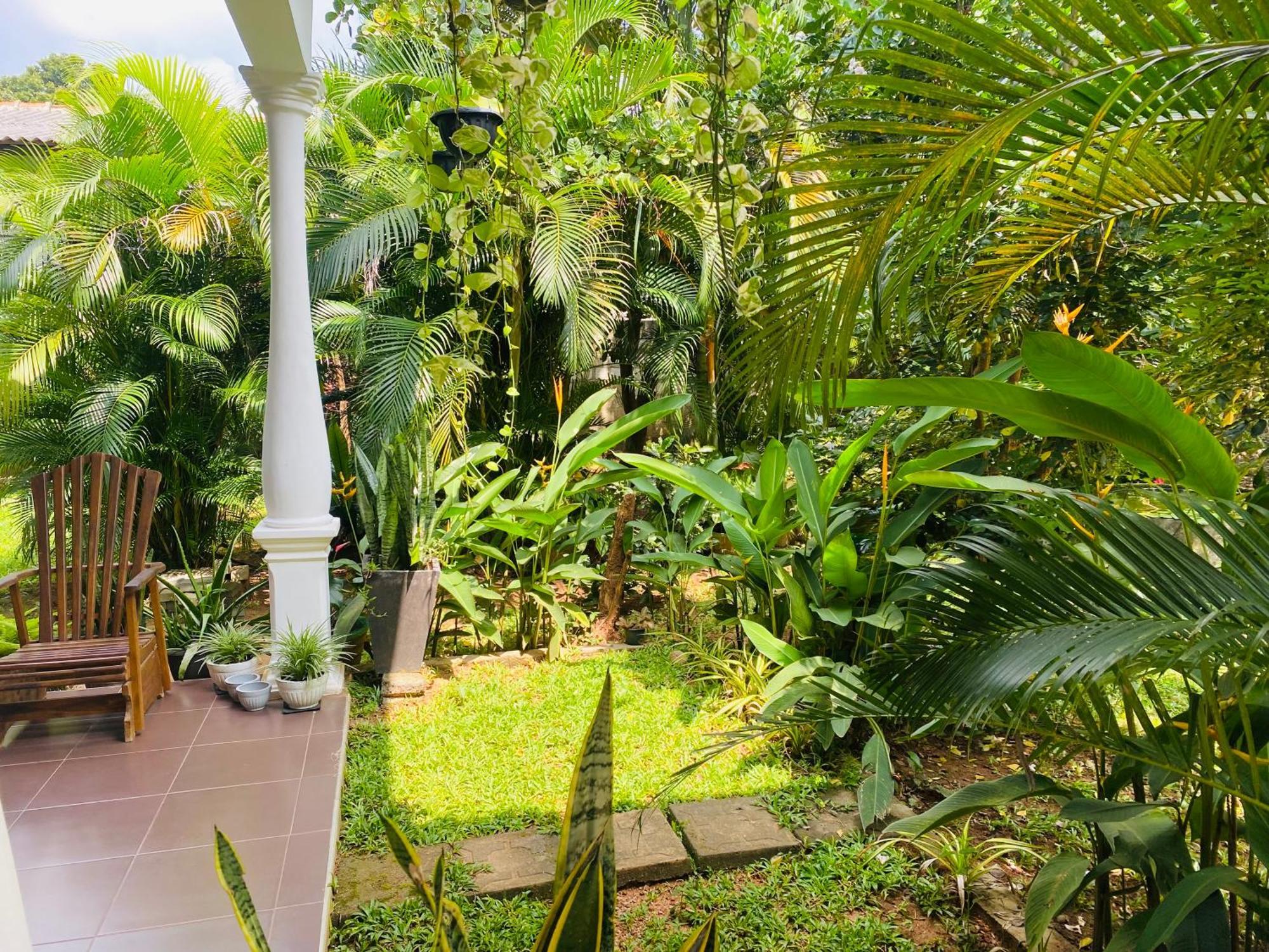Fairview Dill Homestay สิกิริยา ภายนอก รูปภาพ