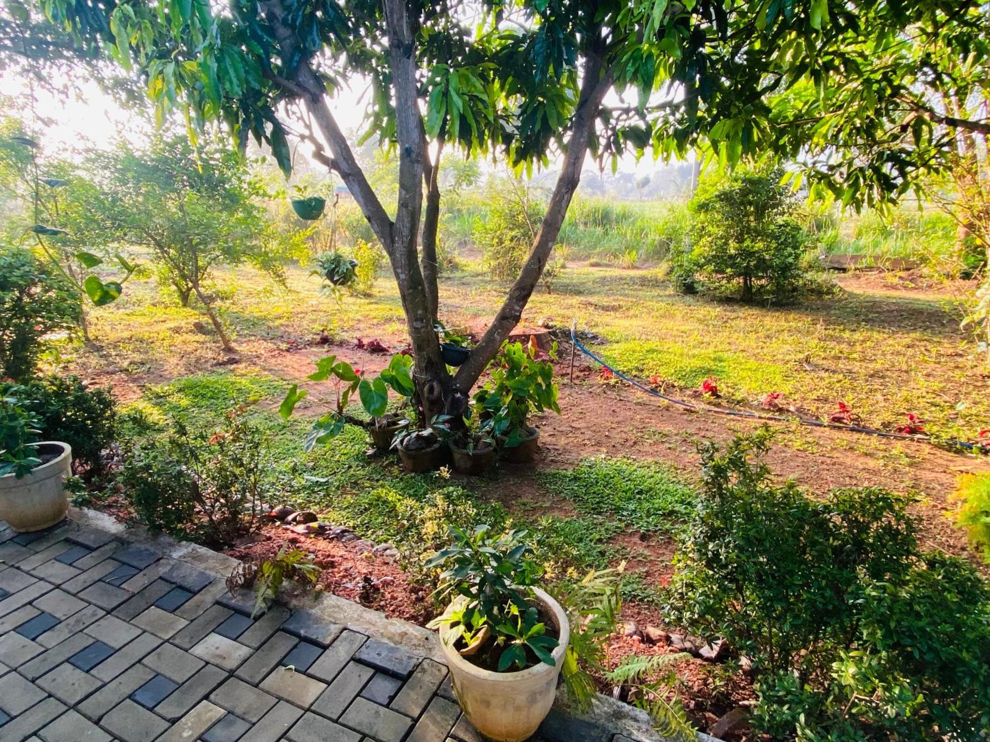Fairview Dill Homestay สิกิริยา ภายนอก รูปภาพ